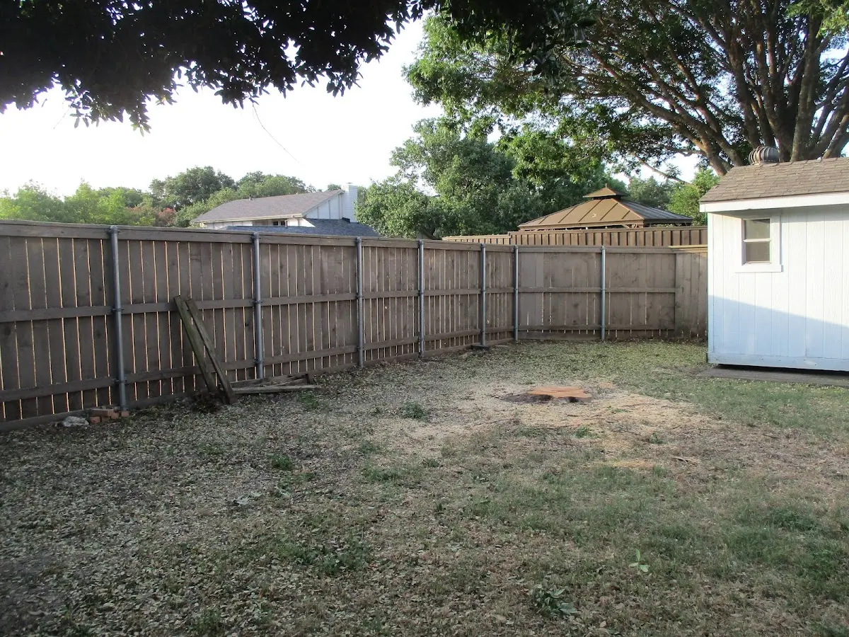 Cleared yard after professional tree removal in Harrisville